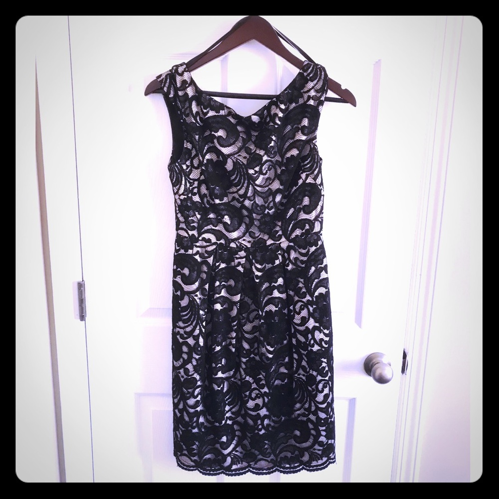 Eliza J Royal Collection Lace Cocktail Dress sz4